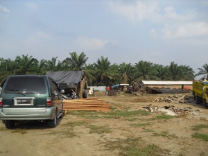 Project PTPN
